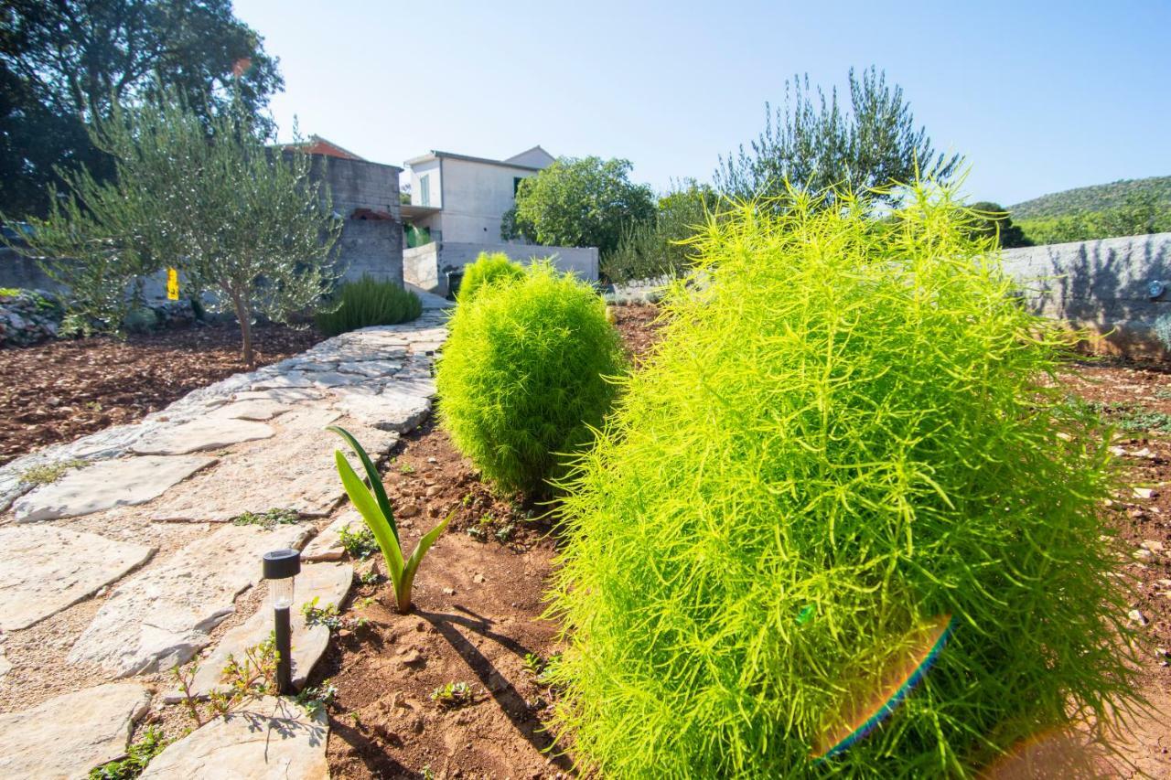 Apartmani Perkovic Gustirna Buitenkant foto